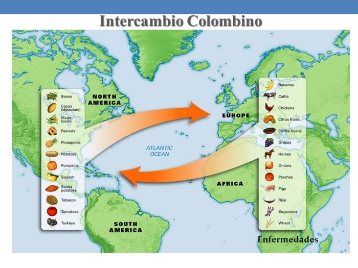 Intercambio colombino brainpop