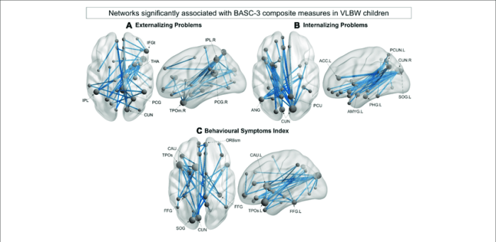 Behavioral basc score