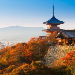 Japanese city with many shrines crossword